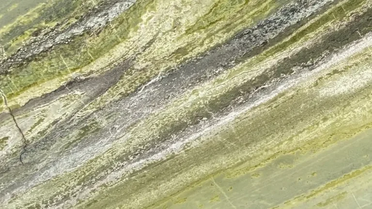 Filo Stone - Kőbeszerzés - Természetes kövek - Márvány - Irish Green
